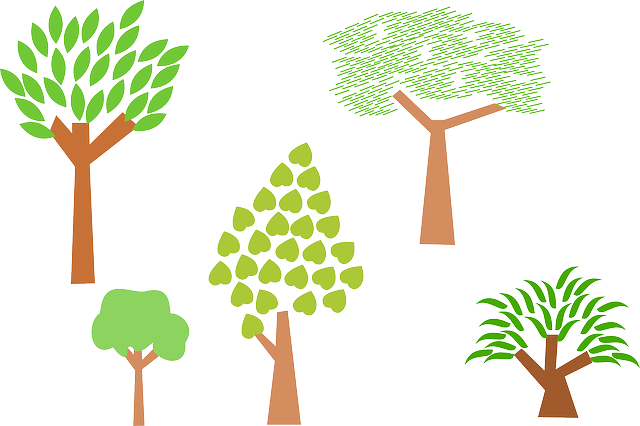 trees-35827_640